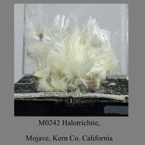 M0242 Halotrichite, Mojave, Kern Co. California