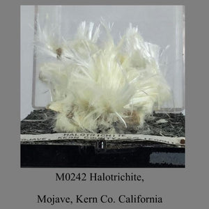 M0242 Halotrichite, Mojave, Kern Co. California