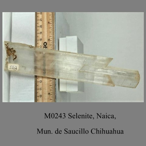 M0243 Selenite, Naica, Mun. de Saucillo Chihuahua Mexico