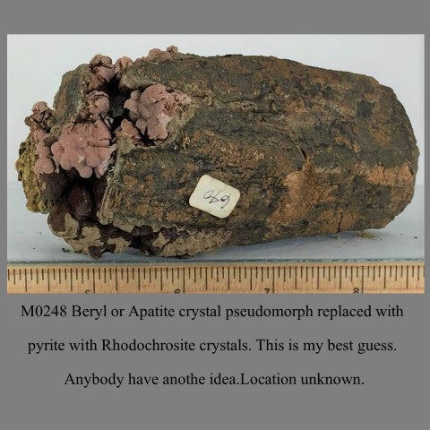 M0248 Beryl or Apatite crystal pseudomorph replaced with pyrite with Rhodochrosite crystals