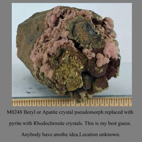 M0248 Beryl or Apatite crystal pseudomorph replaced with pyrite with Rhodochrosite crystals