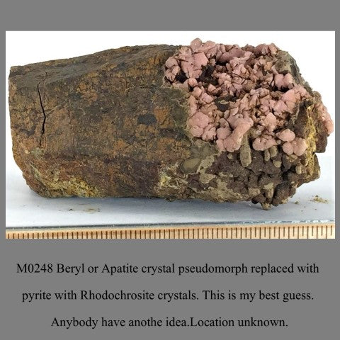 M0248 Beryl or Apatite crystal pseudomorph replaced with pyrite with Rhodochrosite crystals