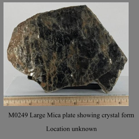 M0249 Large Mica plate showing crystal form