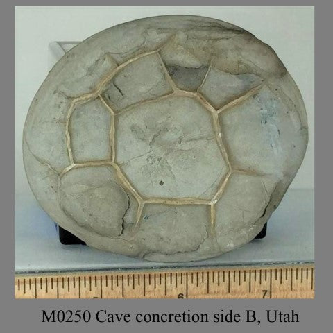 M0250 Cave concretion side A, Utah