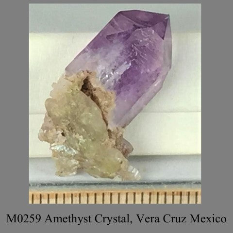 M0259 Amethyst Crystal, Vera Cruz Mexico