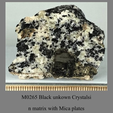 M0265 Black unkown Crystals in matrix with Mica plates