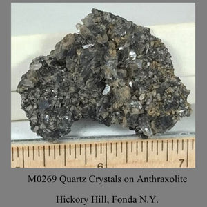 M0269 Quartz Crystals on Anthraxolite Hickory Hill, Fonda N.Y.