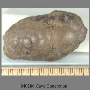 M0286 Cave Concretion