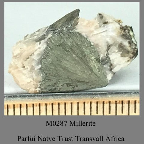 M0287 Millerite Parfui Natve Trust Transvall Africa