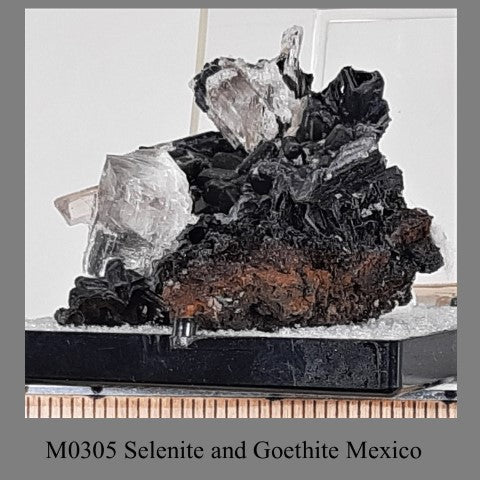 M0305 Selenite and Goethite Mexico