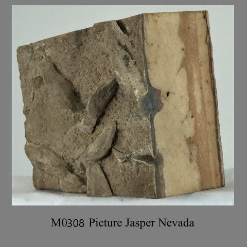 M0308 Picture Jasper Nevada