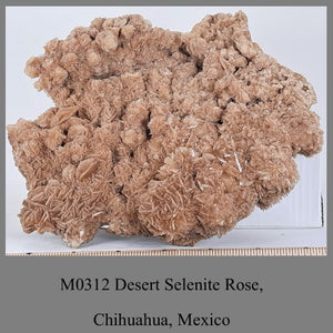 M0312 Desert Selenite Rose, Chihuahua, Mexico side A