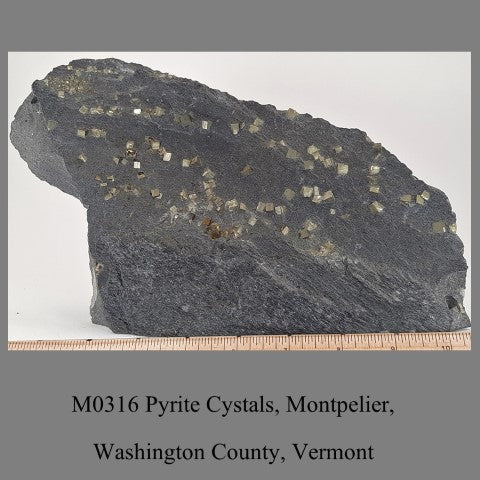 M0316 Pyrite Cystals, Montpelier, Washington County, Vermont