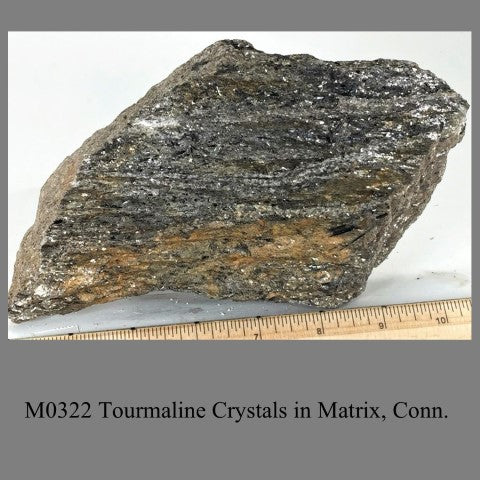 M0322 Tourmaline Crystals in Matrix, Conn.