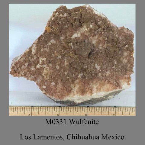 M0331 Wulfenite Los Lamentos, Chihuahua Mexico