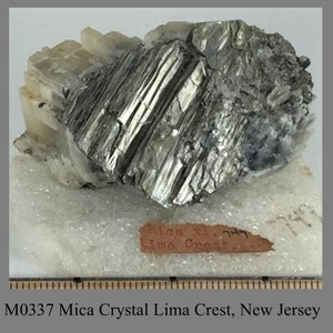 M0337 Mica Crystal Lima Crest, New Jersey