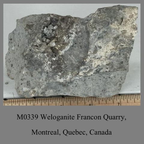 M0339 Weloganite Francon Quarry, Montreal, Quebec, Canada