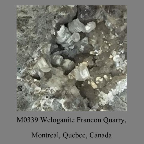 M0339 Weloganite Francon Quarry, Montreal, Quebec, Canada