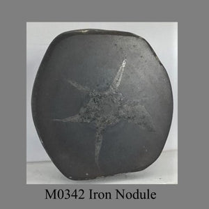 M0342 Iron Nodule