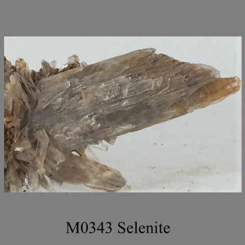 M0343 Selenite