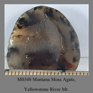 M0348 Montana Moss Agate, Yellowstone River Mt.