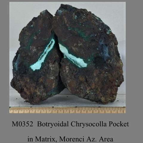 M0352  Botryoidal Chrysocolla Pocket in Matrix Morenci Az. Area