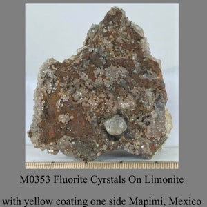 M0353 Fluorite Cyrstals On Limonite with yellow coating one side Mapimi, Mexico