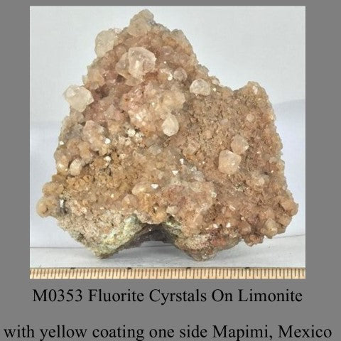 M0353 Fluorite Cyrstals On Limonite with yellow coating one side Mapimi, Mexico