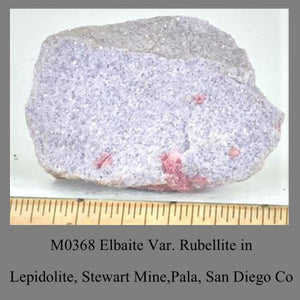 M0368 Elbaite Var. Rubellite in Lepidolite, Stewart Mine,Pala, San Diego Co