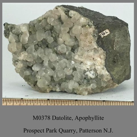 M0378 Datolite, Apophyllite Prospect Park Quarry, Patterson N.J.