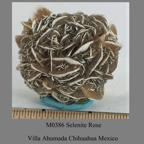 M0386 Selenite Rose Villa Ahumada Chihuahua Mexico 