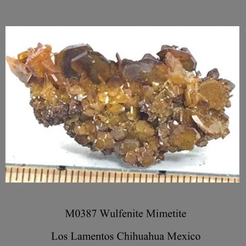 M0387 Wulfenite Mimetite Los Lamentos Chihuahua Mexico