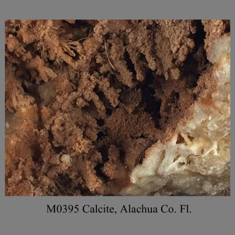 M0395 Calcite, Alachua Co. Fl.