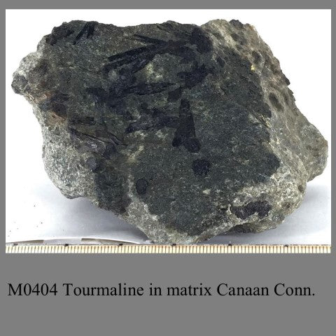 M0404 Tourmaline in matrix Canaan Conn.