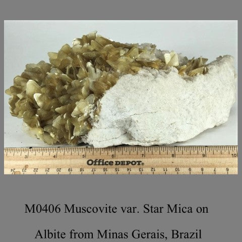 M0406 Muscovite var. Star Mica on Albite from Minas Gerais, Brazil