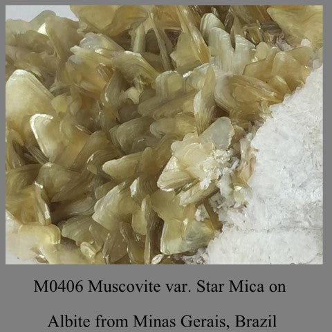 M0406 Muscovite var. Star Mica on Albite from Minas Gerais, Brazil