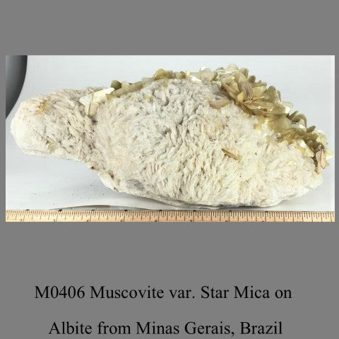 M0406 Muscovite var. Star Mica on Albite from Minas Gerais, Brazil