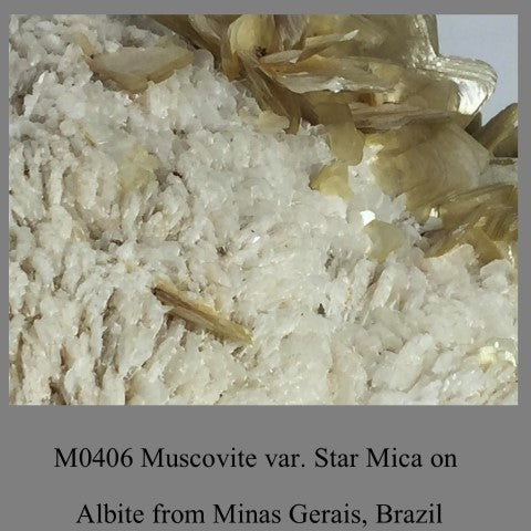 M0406 Muscovite var. Star Mica on Albite from Minas Gerais, Brazil