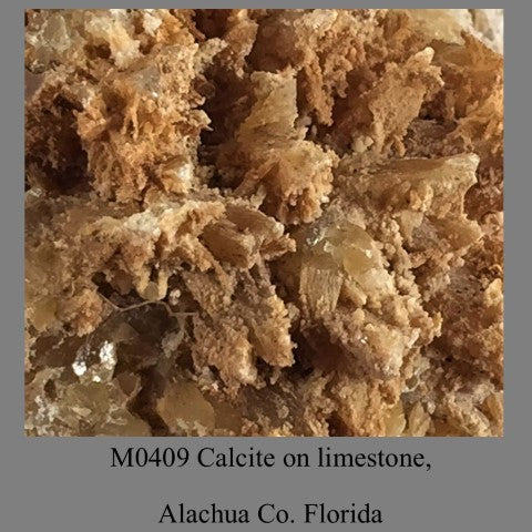 M0409 Calcite on limestone, Alachua Co. Florida