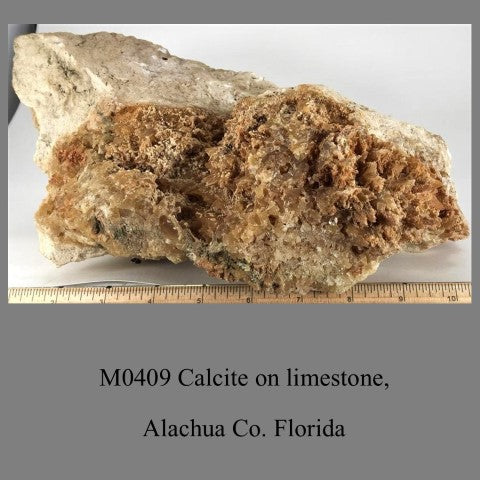 M0409 Calcite on limestone, Alachua Co. Florida