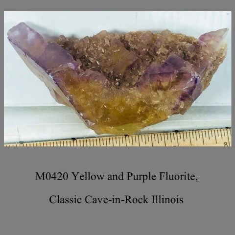 M0420 Yellow and Purple Fluorite, Classic Cave-in-Rock Illinois