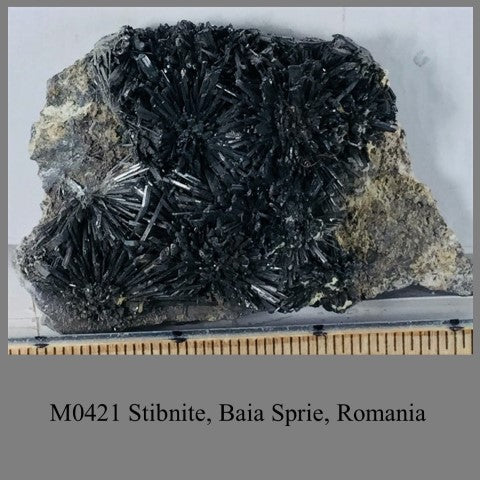 M0421 Stibnite, Baia Sprie, Romania