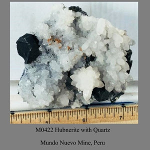 M0422 Hubnerite with Quartz Mundo Nuevo Mine, Peru
