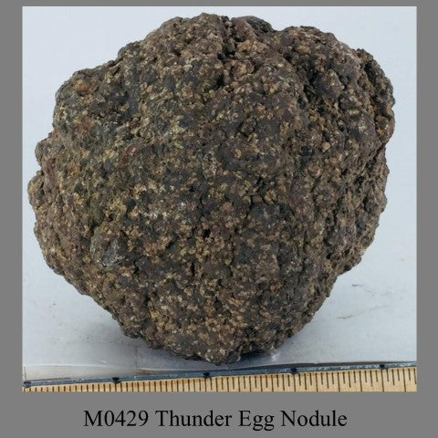M0429 Thunder Egg Nodule