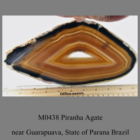 M0438 Piranha Agate near Guarapuava, Brazil State of Parana