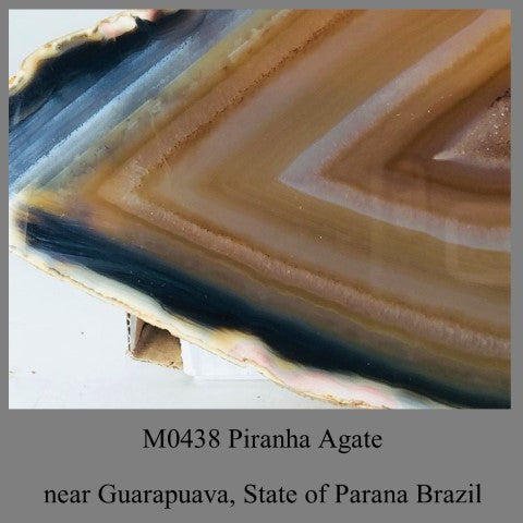 M0438 Piranha Agate near Guarapuava, Brazil State of Parana