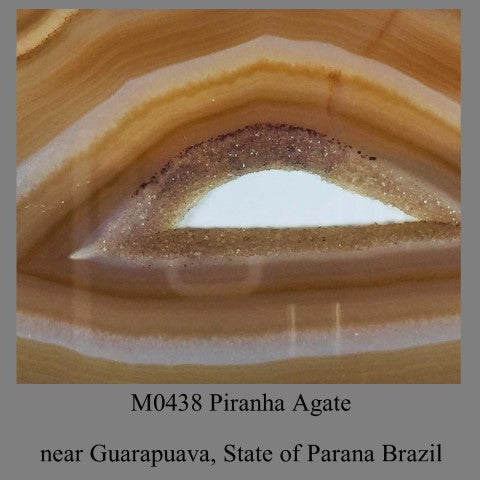 M0438 Piranha Agate near Guarapuava, Brazil State of Parana