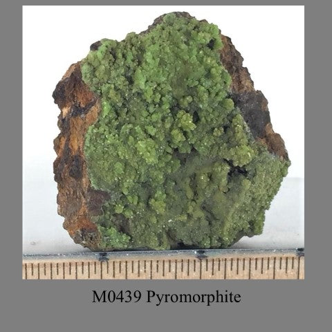 M0439 Pyromorphite