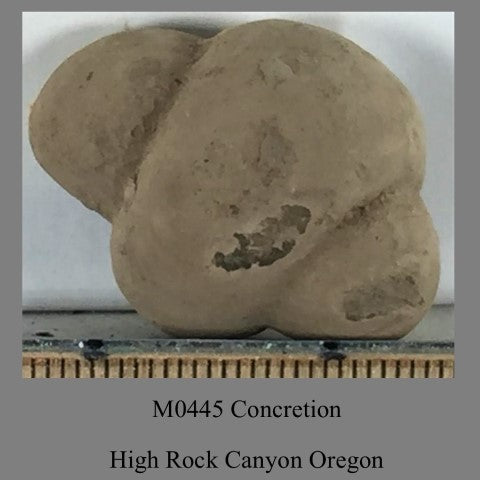 M0445 Concretion High Rock Canyon Oregon
