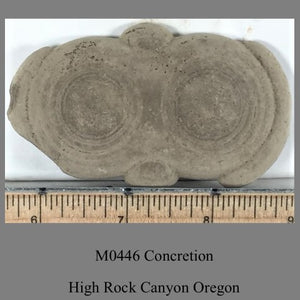 M0446 Concretion High Rock Canyon Oregon